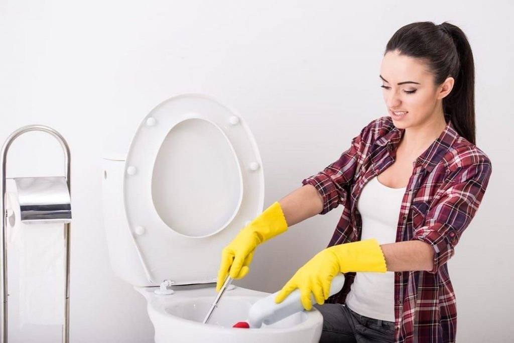 Why Put Dish Soap in Toilet at Night? Catholic